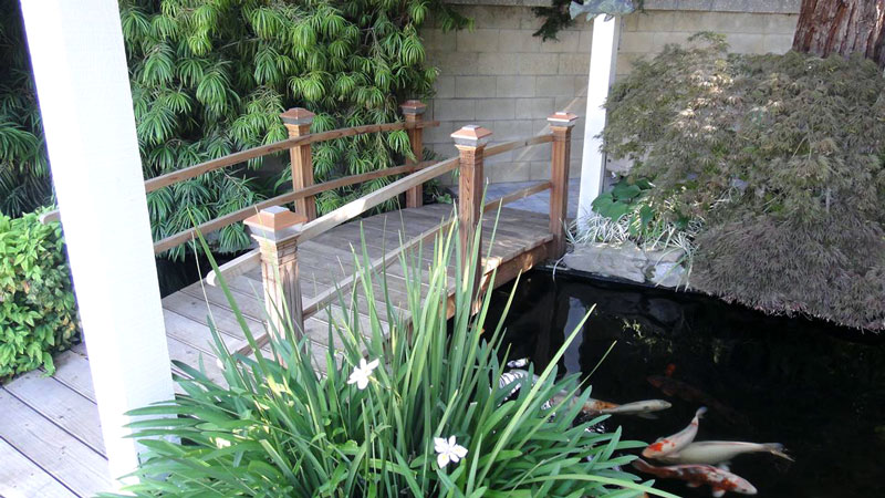 bridge-over-koi-pond