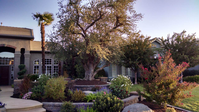 Clovis Gardener Clovis Gardener