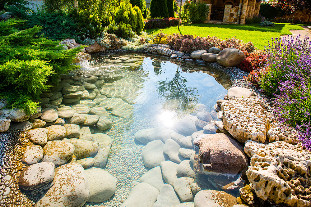 water garden design A beautiful water garden design