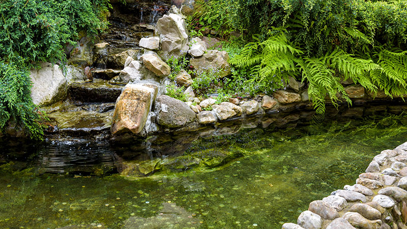 garden stream design garden stream design