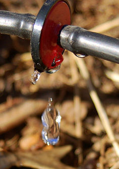 Landscaping Tips Fresno Drip Irrigation