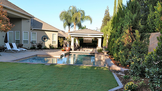 Drought Tolerant Grass by pool