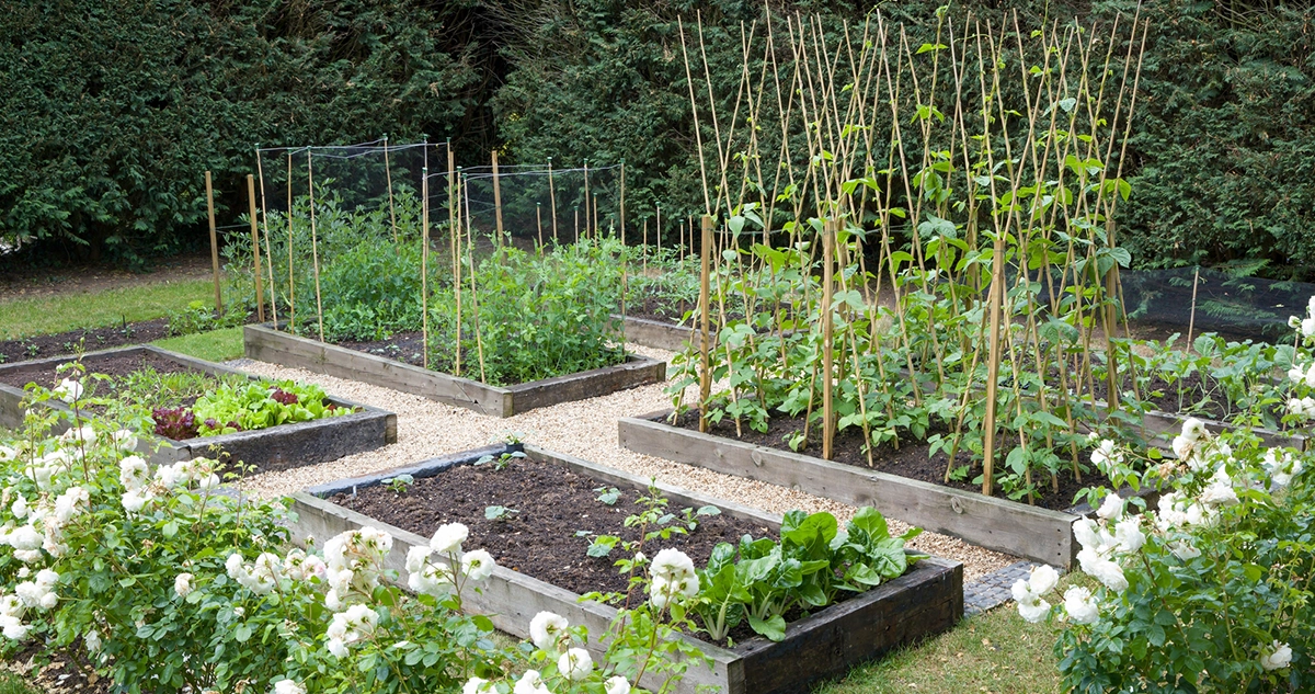 How to Incorporate a Raised Garden Bed Into Your Landscape Design