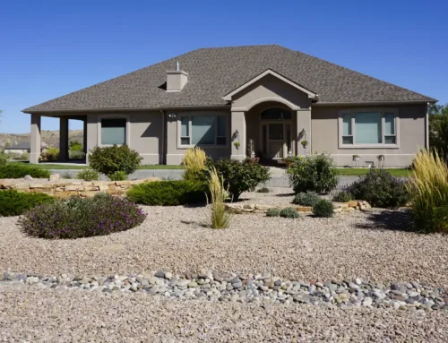 What’s the Difference Between Xeriscape and Zeroscape?