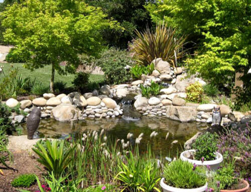 How to Choose a Landscape Designer: 8 Essential Questions