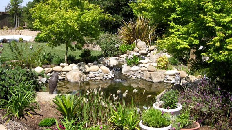 17 Luxury Features for Your Backyard Redesign- Koi Pond