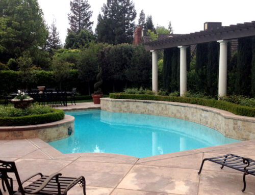 Best Landscaping to Have Around Your Pool