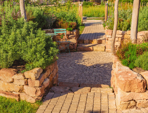 Landscape Design Trends Popular in Fresno This Year
