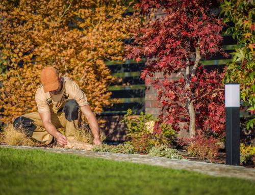 The Fresno Homeowner’s Fall Planting Guide