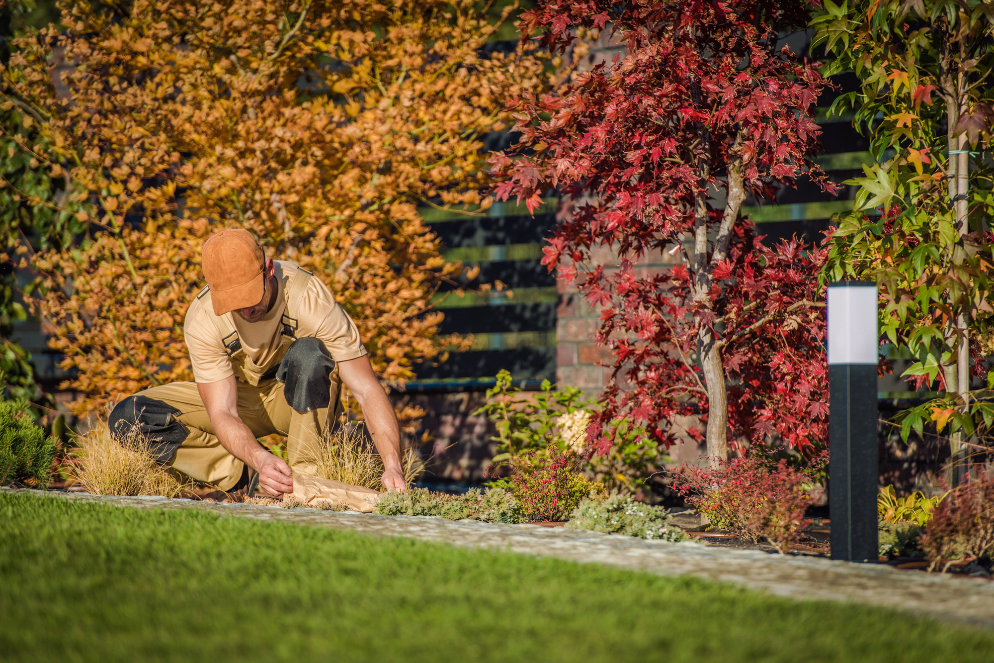 The Fresno Homeowner’s Fall Planting Guide